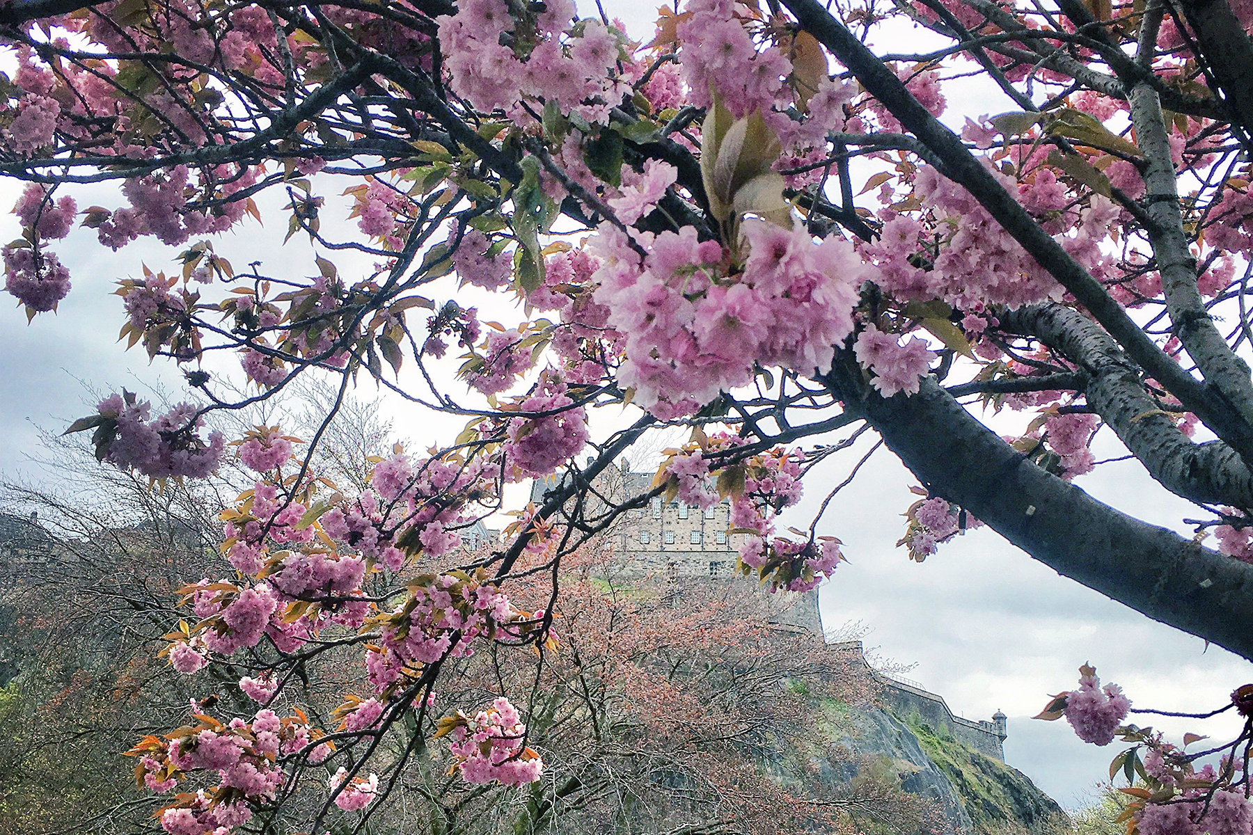 72 Stunden in … Edinburgh: Das perfekte Wochenende in Edinburgh
