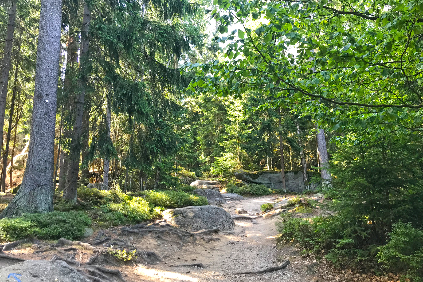 Grenzen der Vielfalt: Die schönsten Grenz-Geschichten aus dem Fichtelgebirge