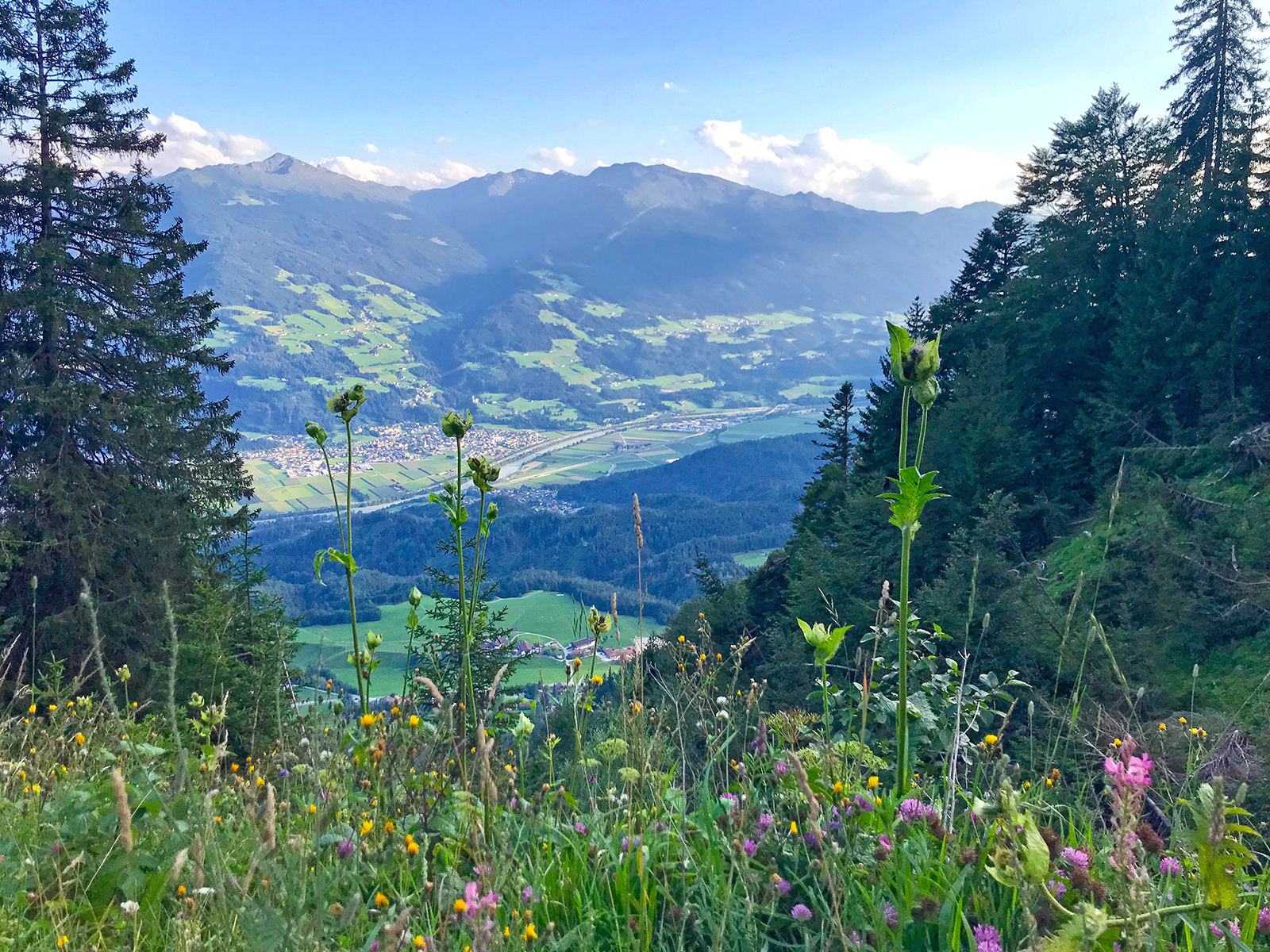 Highlights in Hall-Wattens: Wo sich Kristalle, Kraftorte und Karwendel in Hall-Wattens begegnen