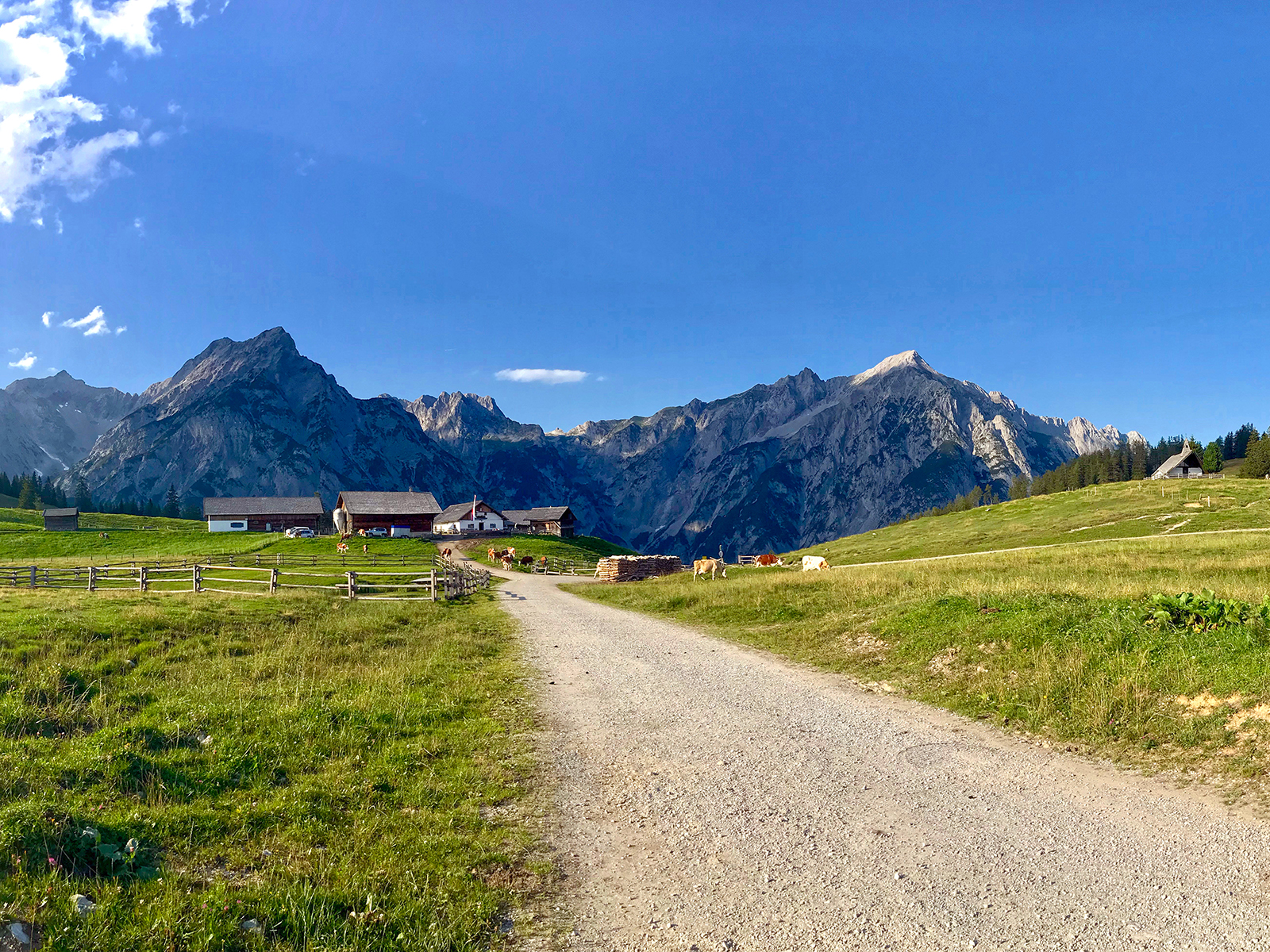 Highlights in Hall-Wattens: Wo sich Kristalle, Kraftorte und Karwendel in Hall-Wattens begegnen