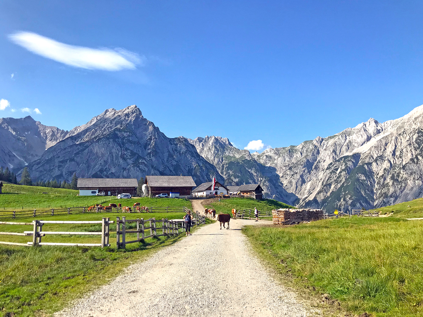 Highlights in Hall-Wattens: Wo sich Kristalle, Kraftorte und Karwendel in Hall-Wattens begegnen