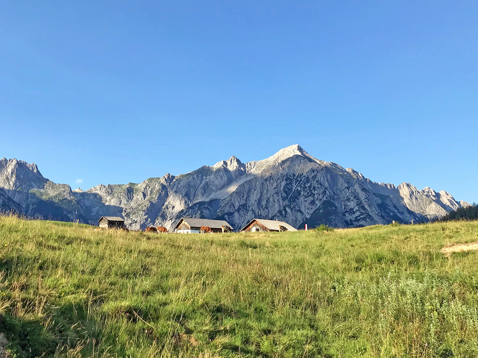 Highlights in Hall-Wattens: Wo sich Kristalle, Kraftorte und Karwendel in Hall-Wattens begegnen