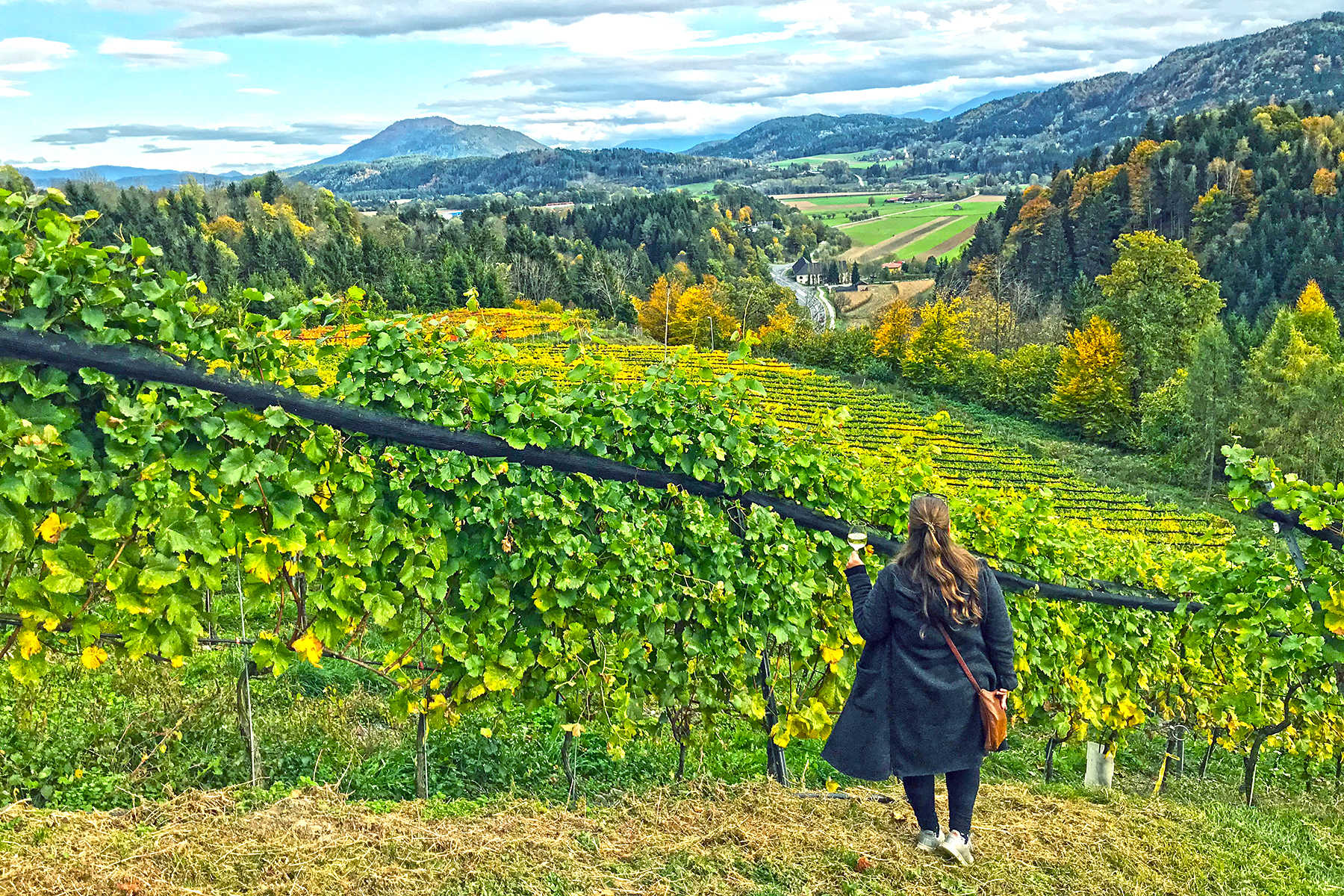 Wein aus Kärnten: 7 Orte in Mittelkärnten, wo man Kärntner Wein genießen kann