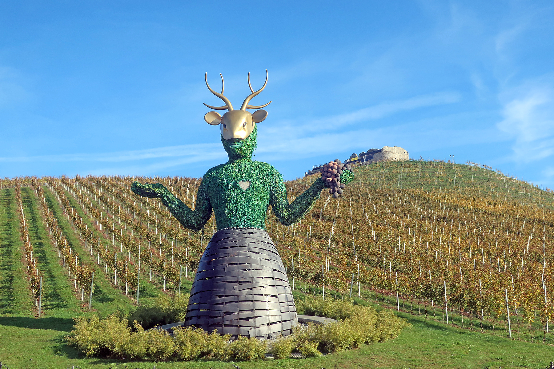 Wein aus Kärnten: 7 Orte in Mittelkärnten, wo man Kärntner Wein genießen kann