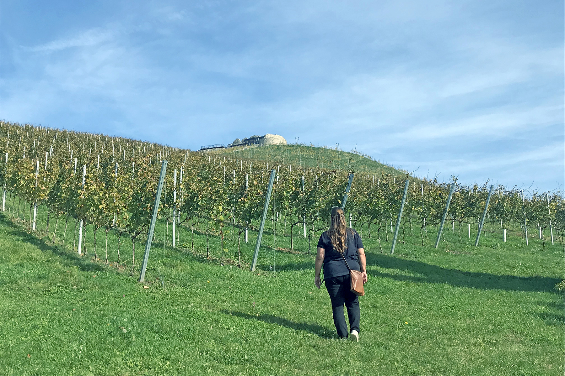 Wein aus Kärnten: 7 Orte in Mittelkärnten, wo man Kärntner Wein genießen kann
