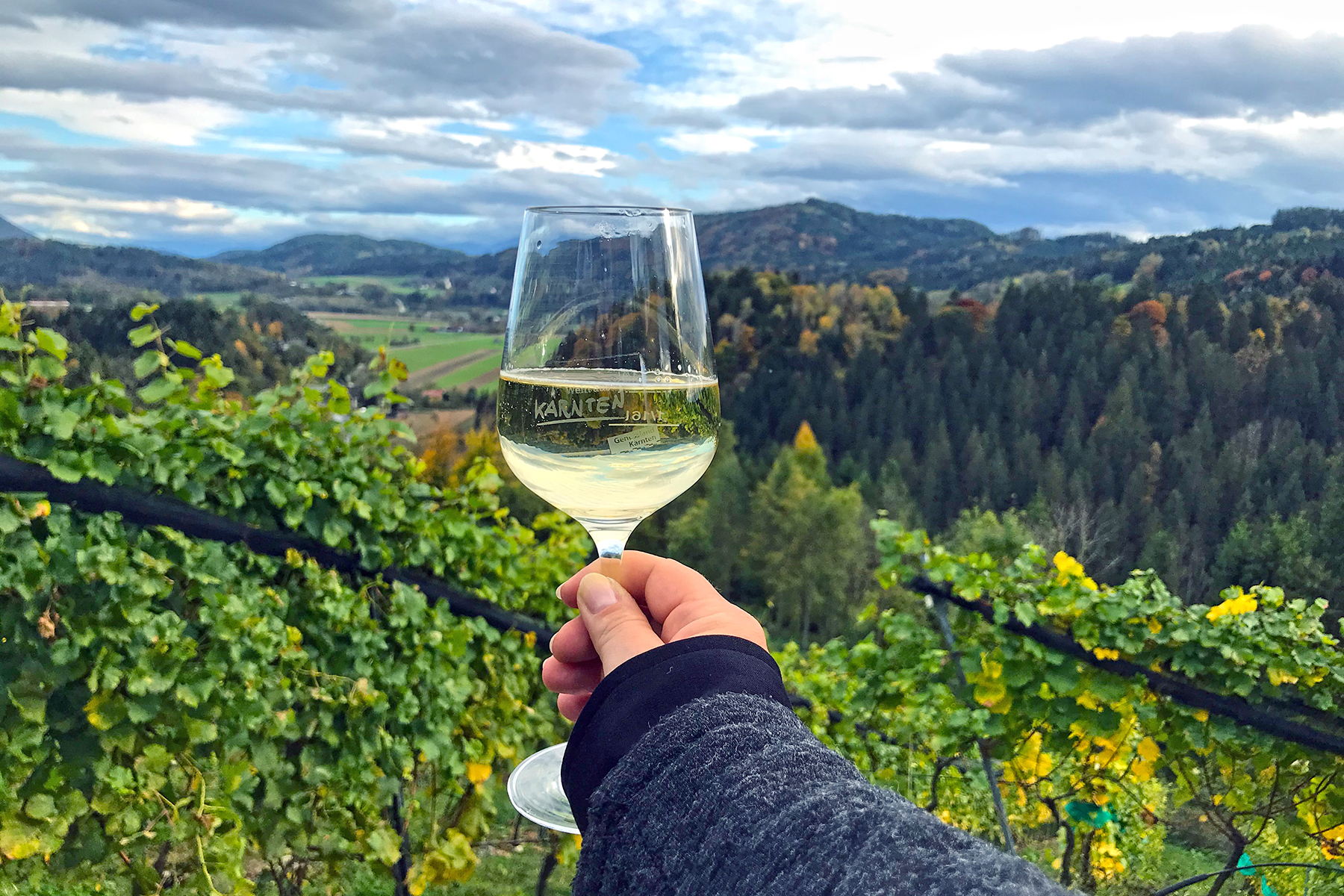 Wein aus Kärnten: 7 Orte in Mittelkärnten, wo man Kärntner Wein genießen kann