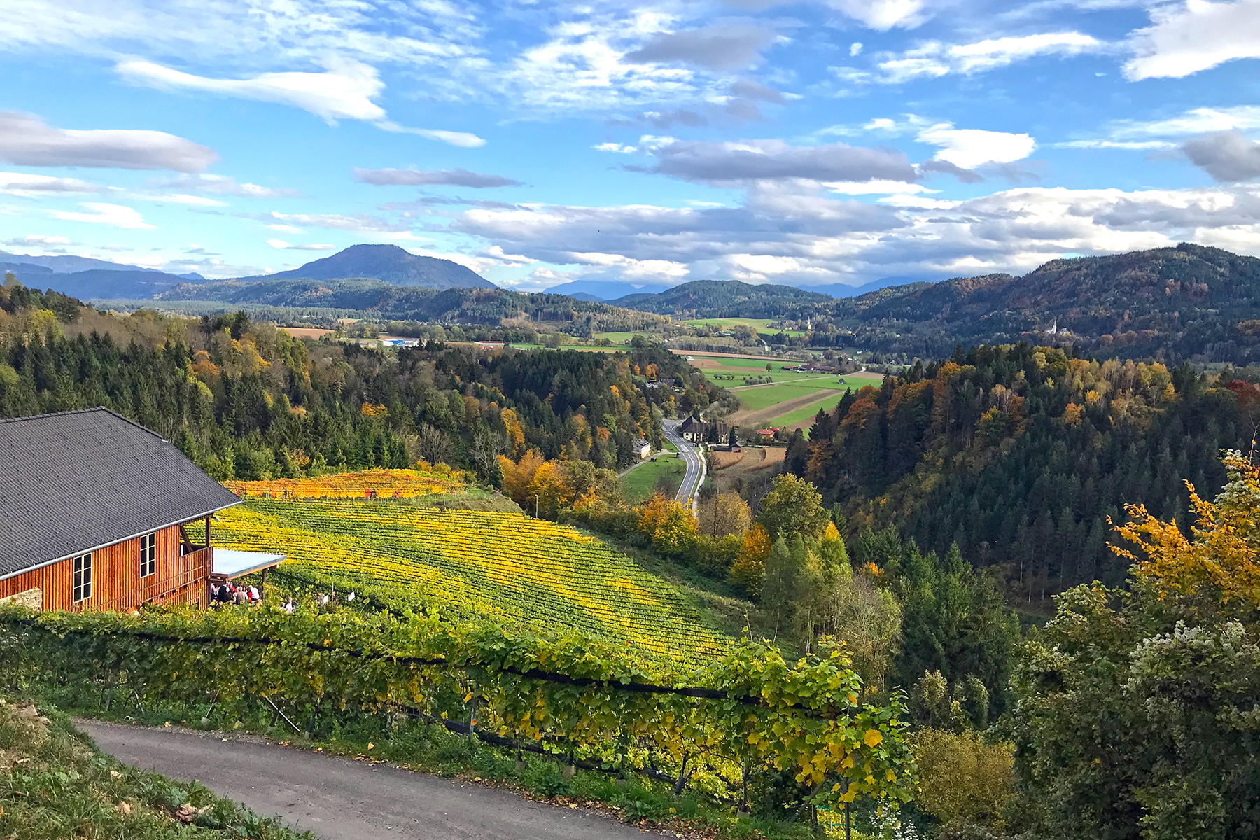 Wein aus Kärnten: 7 Orte in Mittelkärnten, wo man Kärntner Wein genießen kann