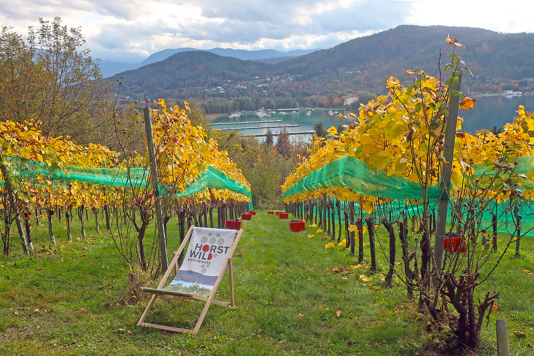 Wein aus Kärnten: 7 Orte in Mittelkärnten, wo man Kärntner Wein genießen kann