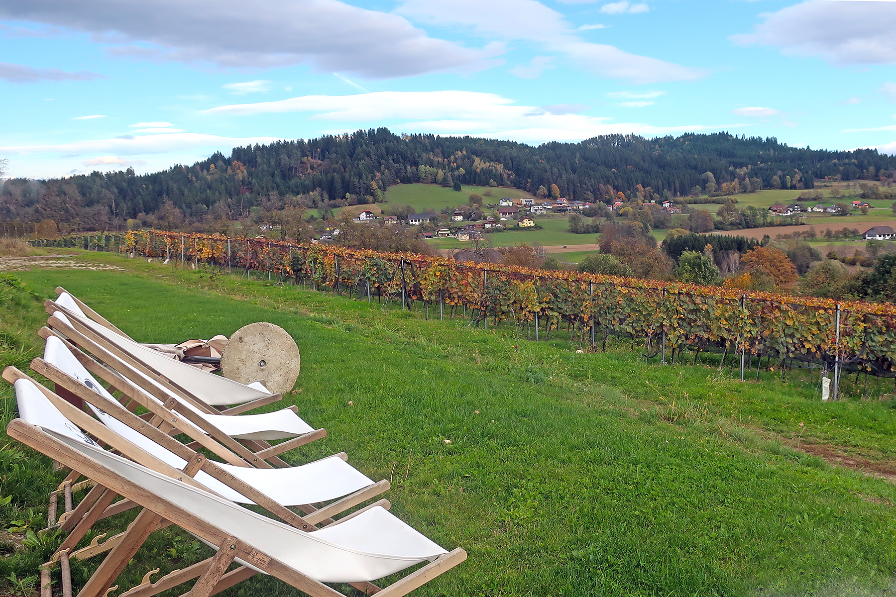 Wein aus Kärnten: 7 Orte in Mittelkärnten, wo man Kärntner Wein genießen kann