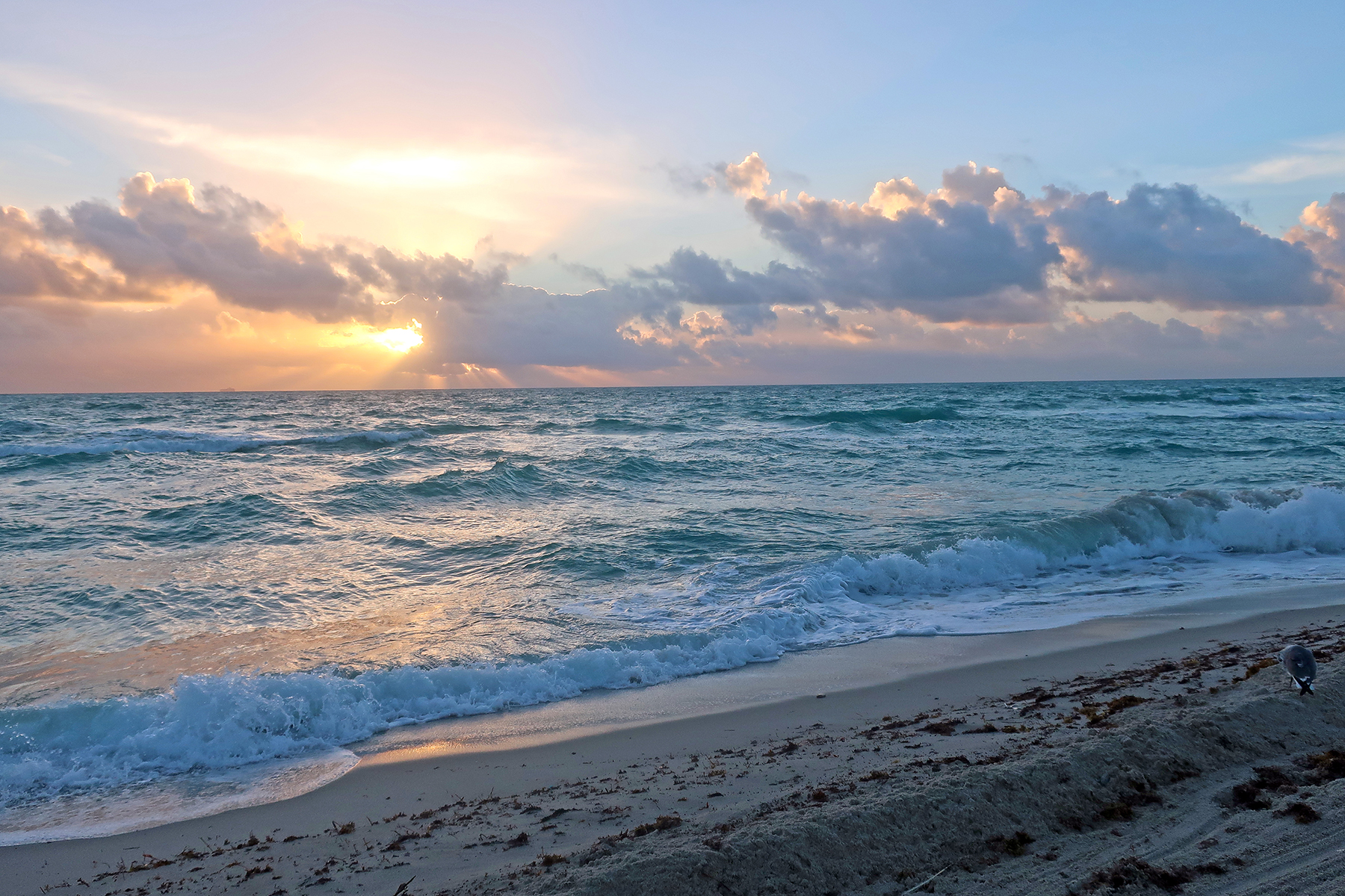 Sonne, Strand, South Beach: 13 Insidertipps für Miami Beach