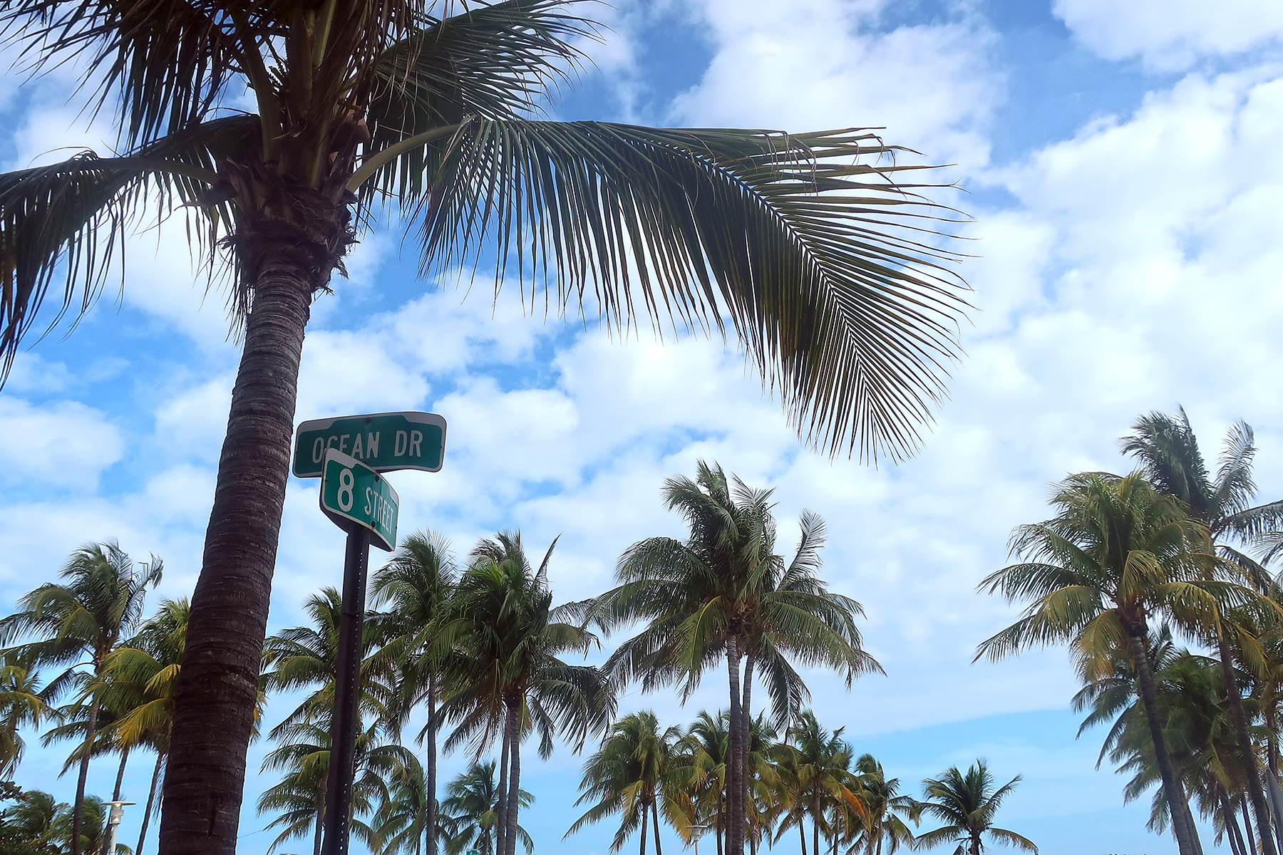 Sonne, Strand, South Beach: 13 Insidertipps für Miami Beach