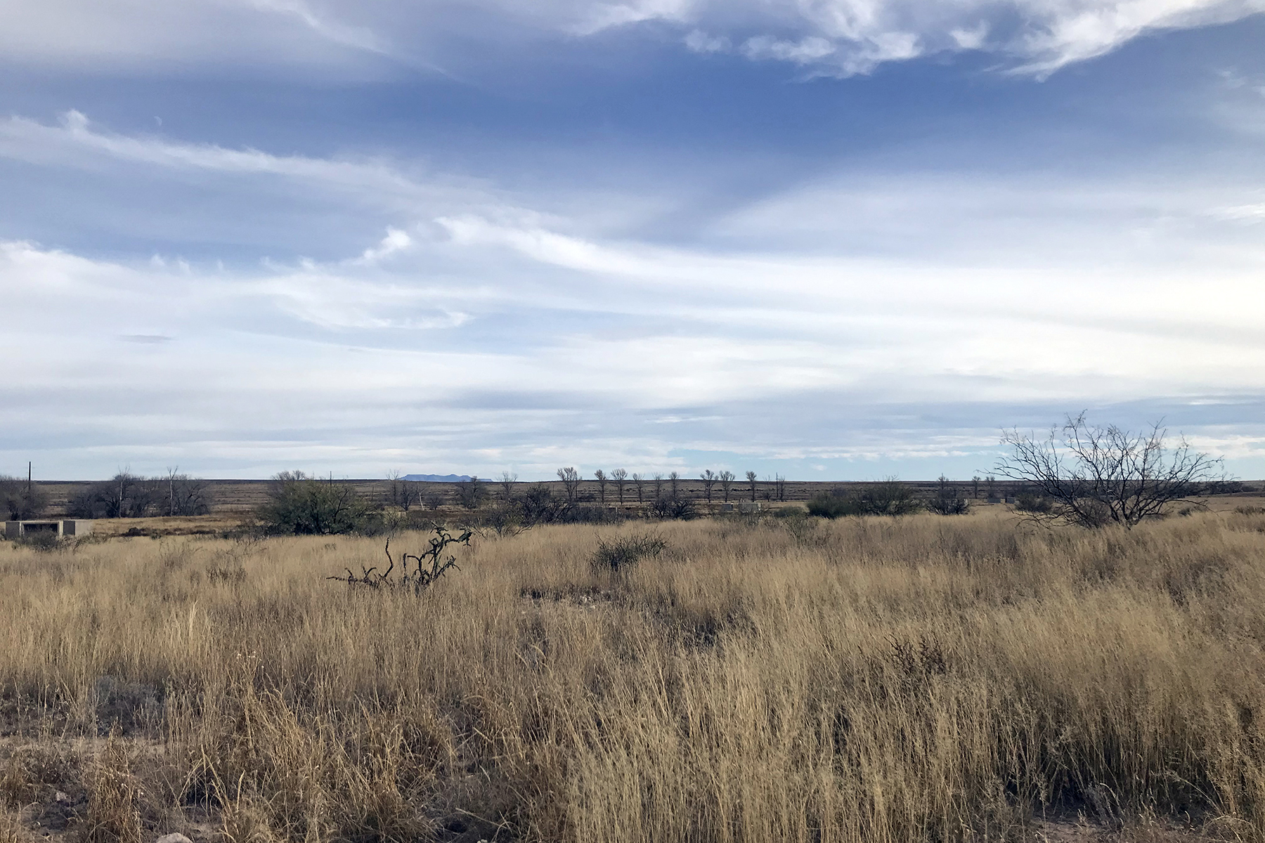 Roadtrip durch West-Texas