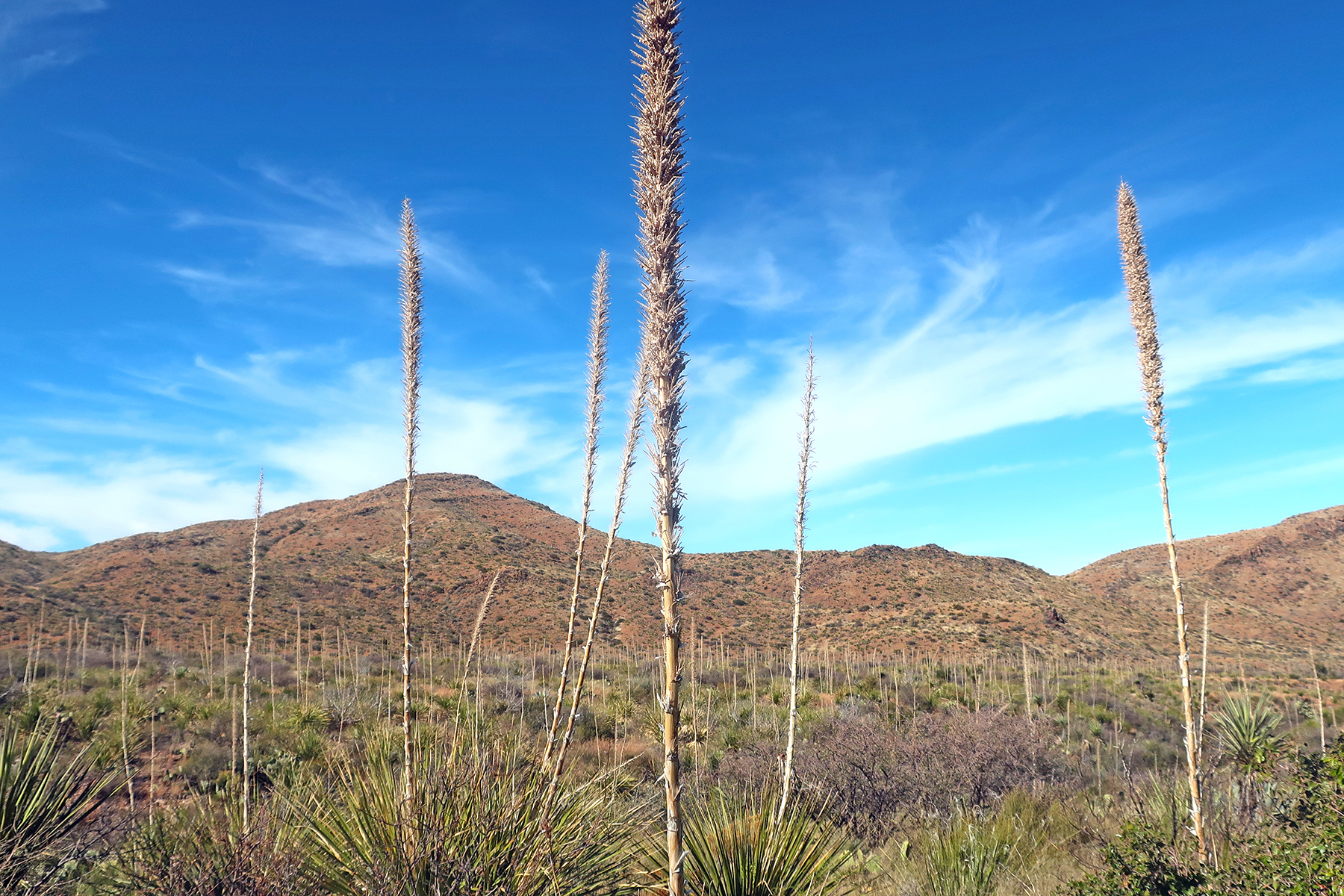 Reisevideo: Highlights im Big Bend National Park in West-Texas