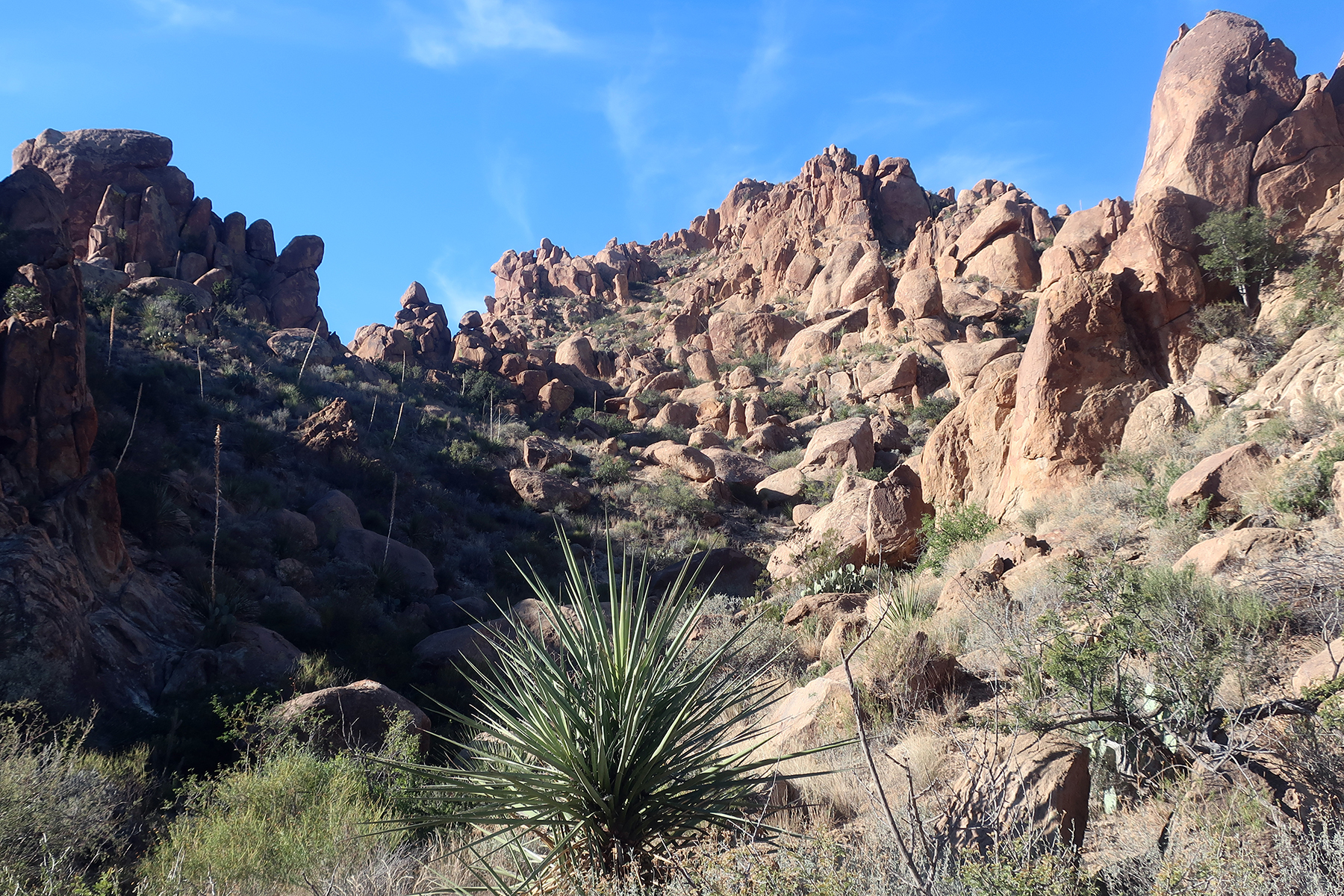 Reisevideo: Highlights im Big Bend National Park in West-Texas