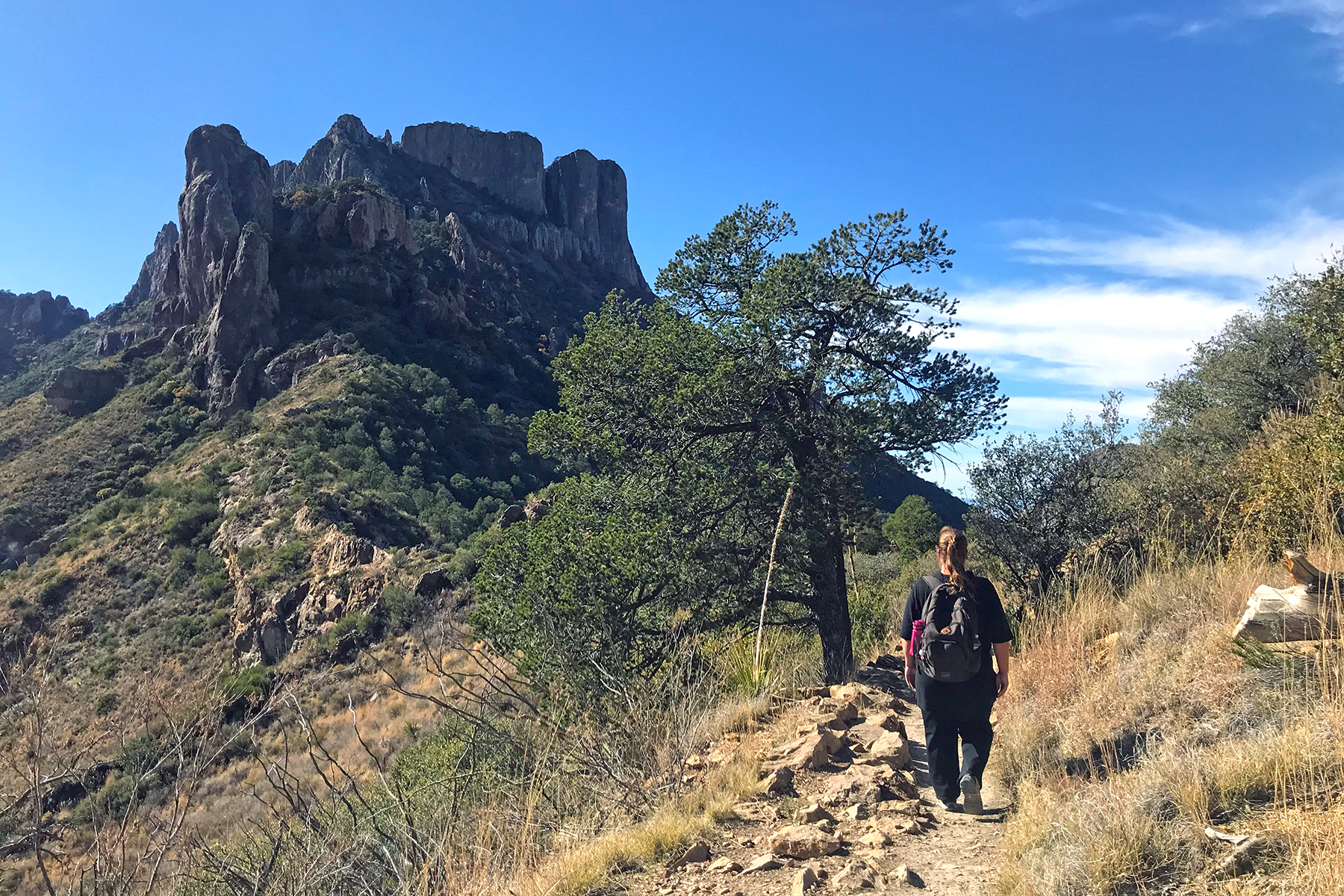 Reisevideo: Highlights im Big Bend National Park in West-Texas