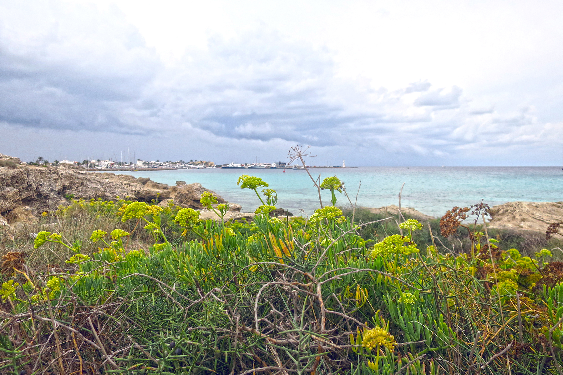 Ibizas stille Schwester: 10 praktische Infos und Insidertipps für Formentera