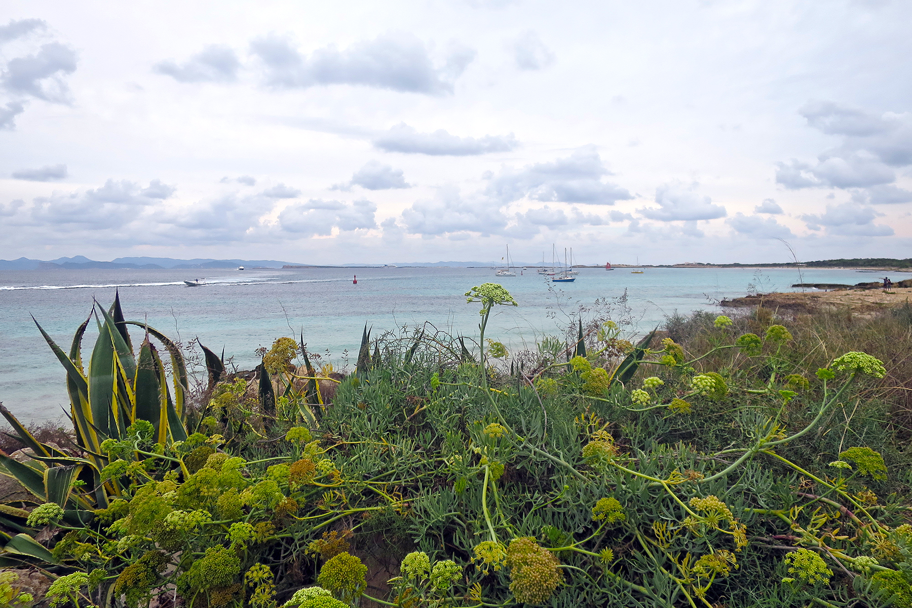 Ibizas stille Schwester: 10 praktische Infos und Insidertipps für Formentera