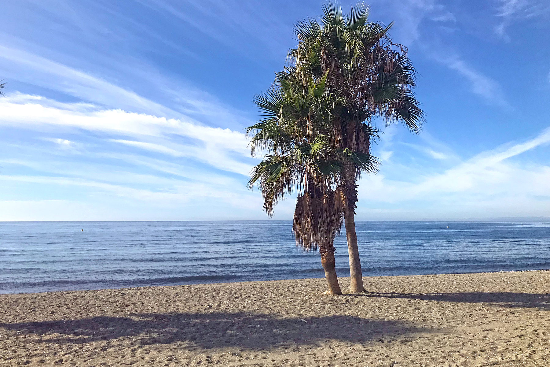 7 Highlights an der Costa del Sol