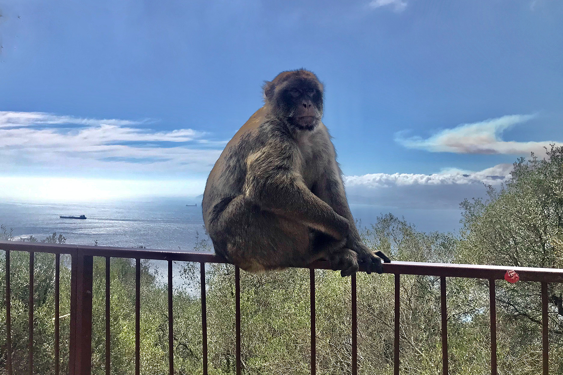 7 Highlights an der Costa del Sol