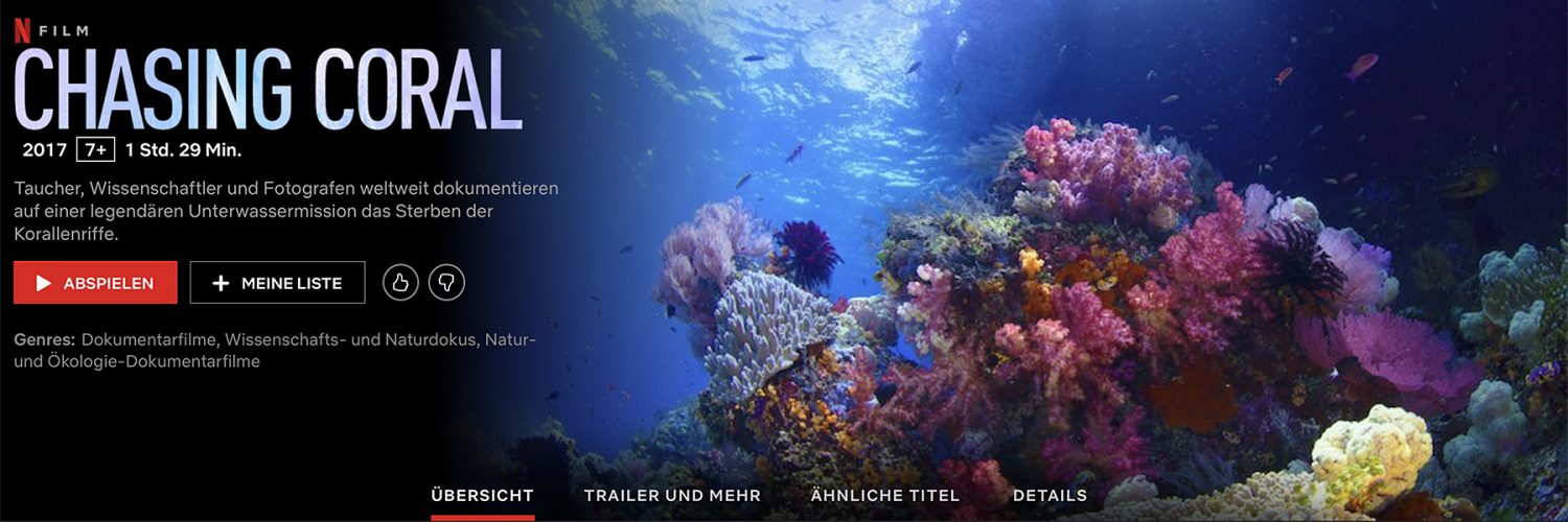 Auf der Couch um die Welt: Die besten Reisedokumentationen auf Netflix