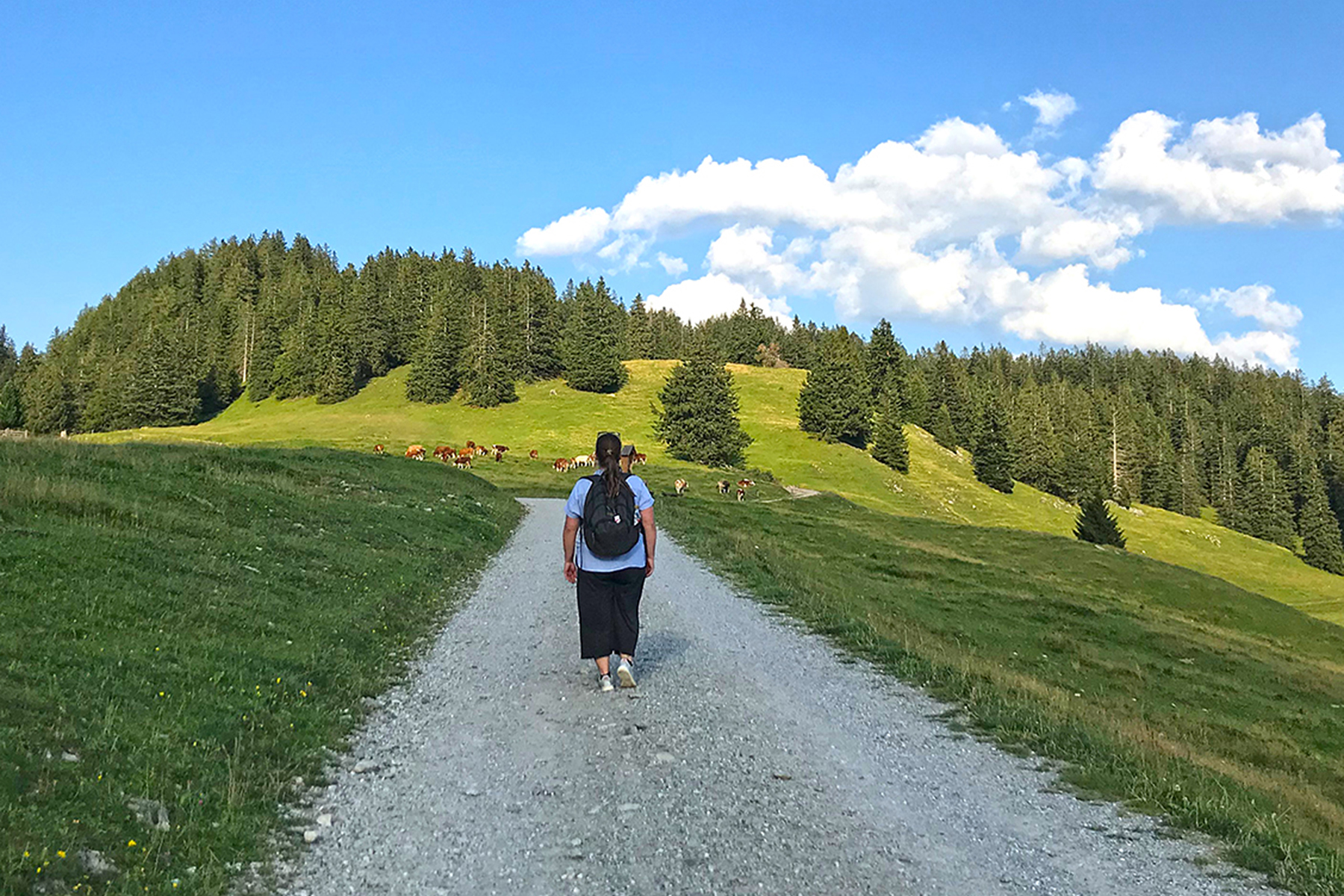Sommerurlaub in Kärnten: 10 Highlights, die man im Sommer in Kärnten erleben muss