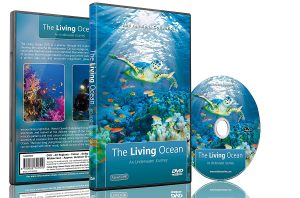 10 DVDs und CDs für eine entspannte Reise um die Welt