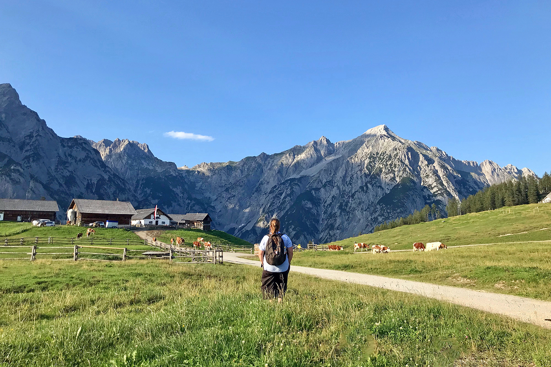 Urlaub in Österreich: 7 Tipps, wie man den Sommerurlaub 2020 in Österreich bucht