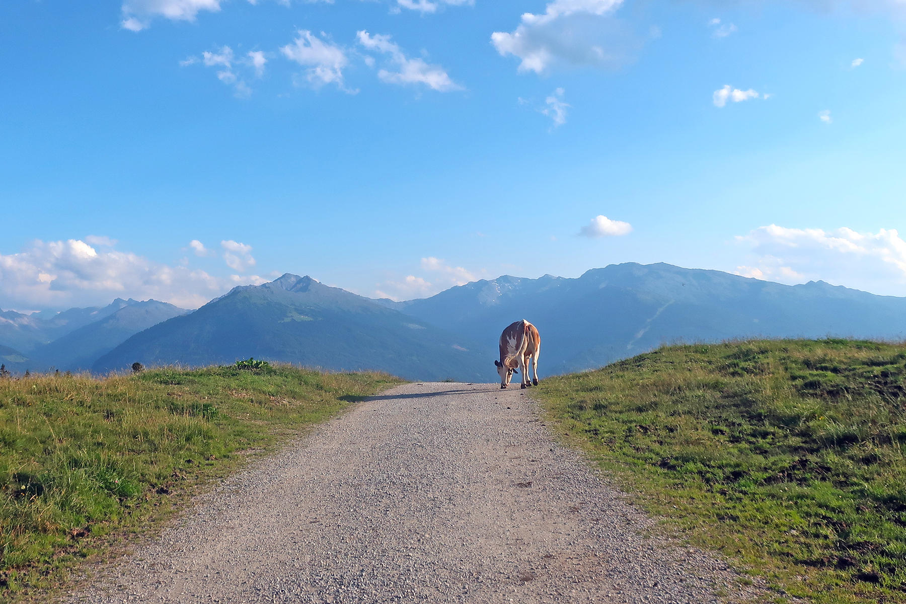 Sommerurlaub in Kärnten: 10 Highlights, die man im Sommer in Kärnten erleben muss