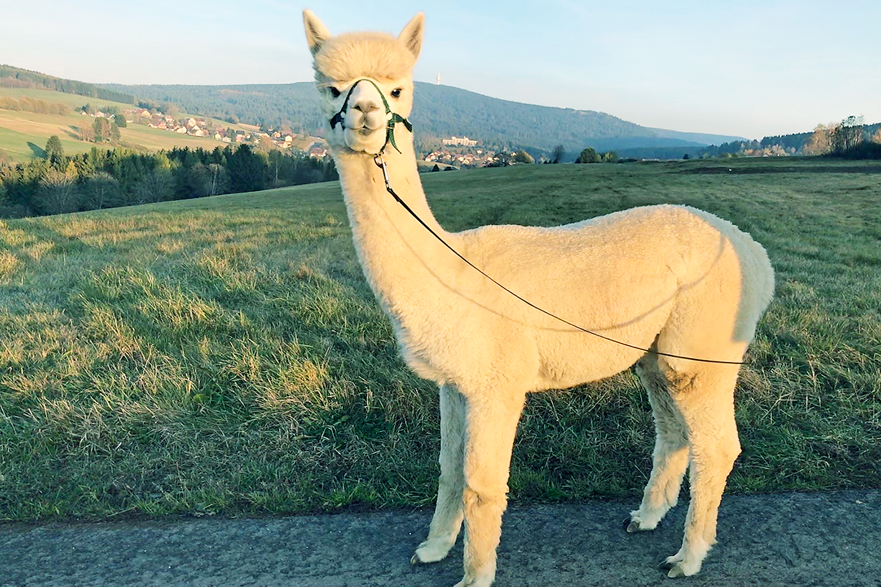 22 Highlights für einen Familienurlaub im Fichtelgebirge