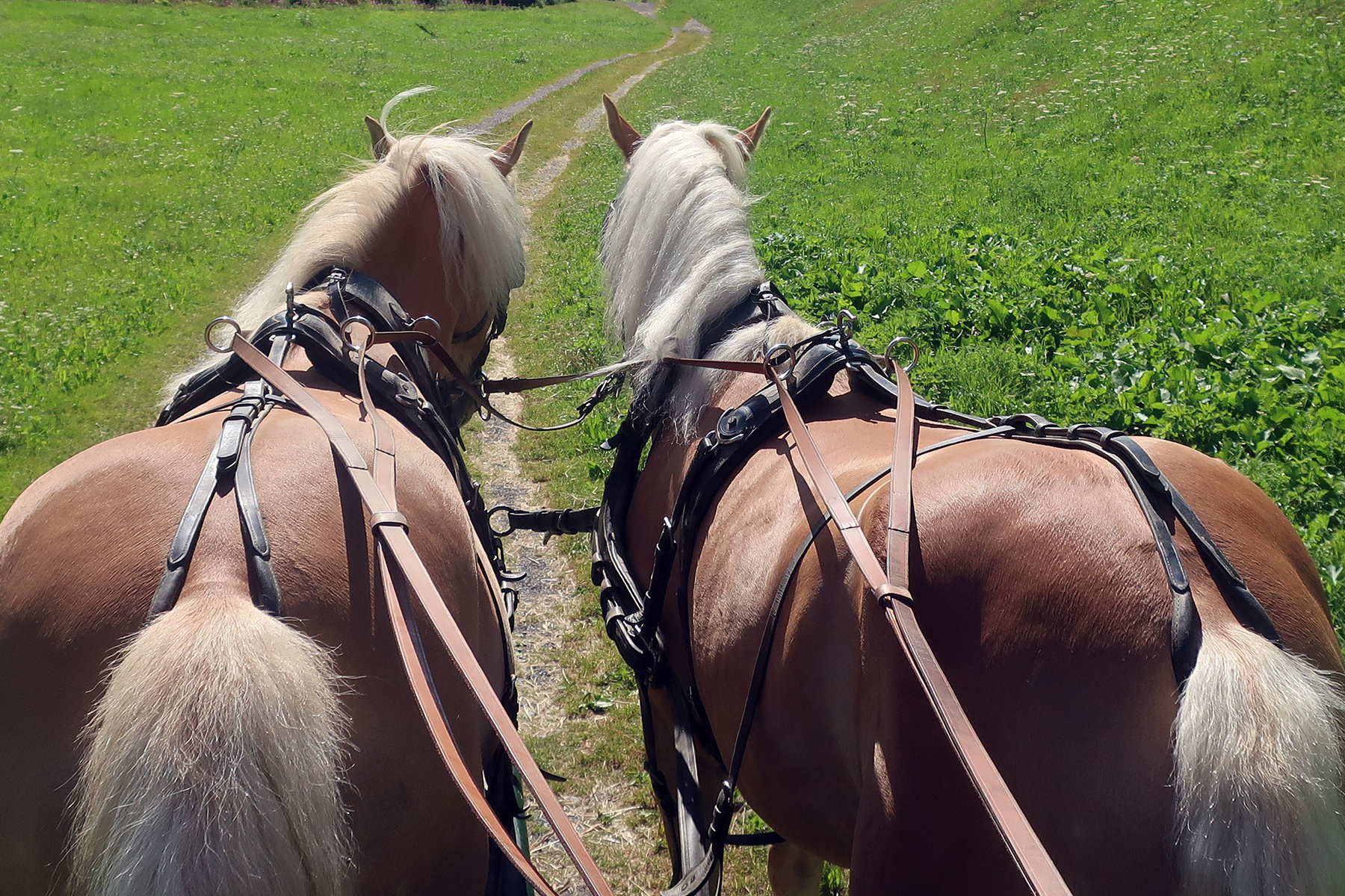 22 Highlights für einen Familienurlaub im Fichtelgebirge