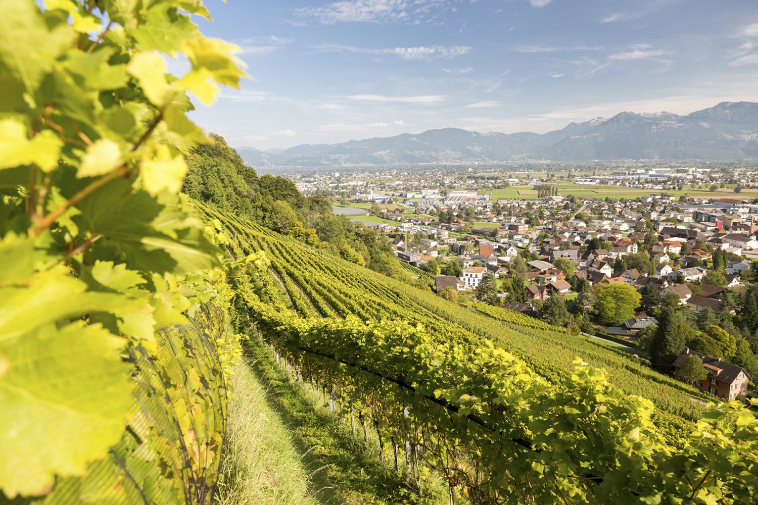 Highlights in St.Gallen