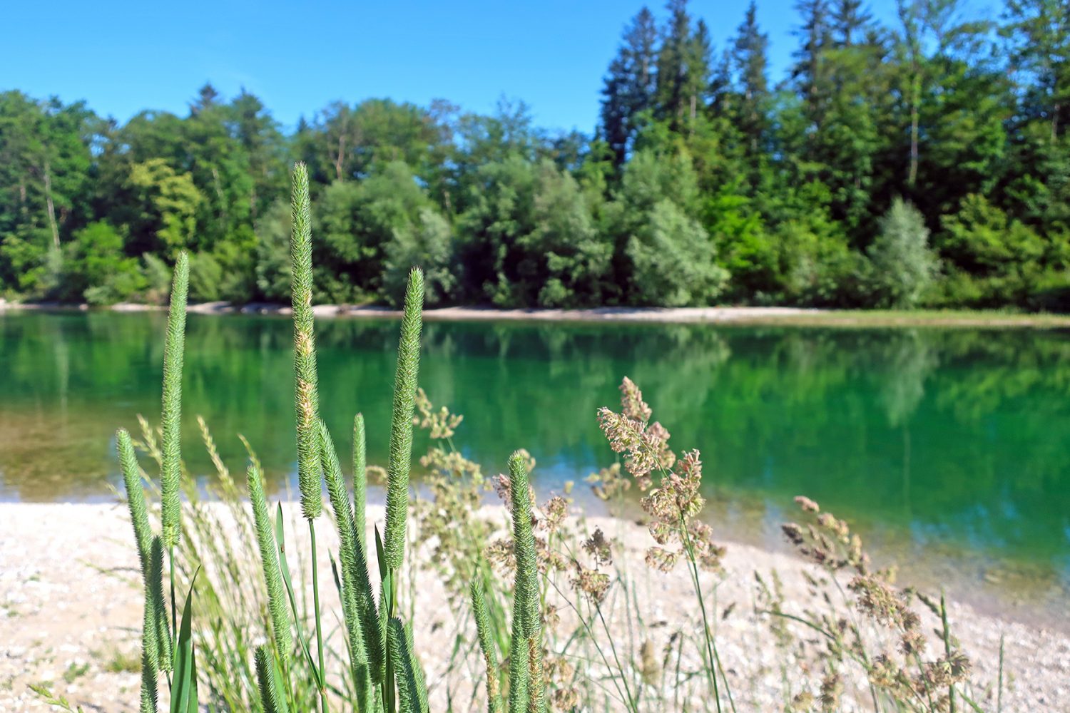 Steyrtal Radweg: Natur, Handwerk und Traditionen entlang der Steyr