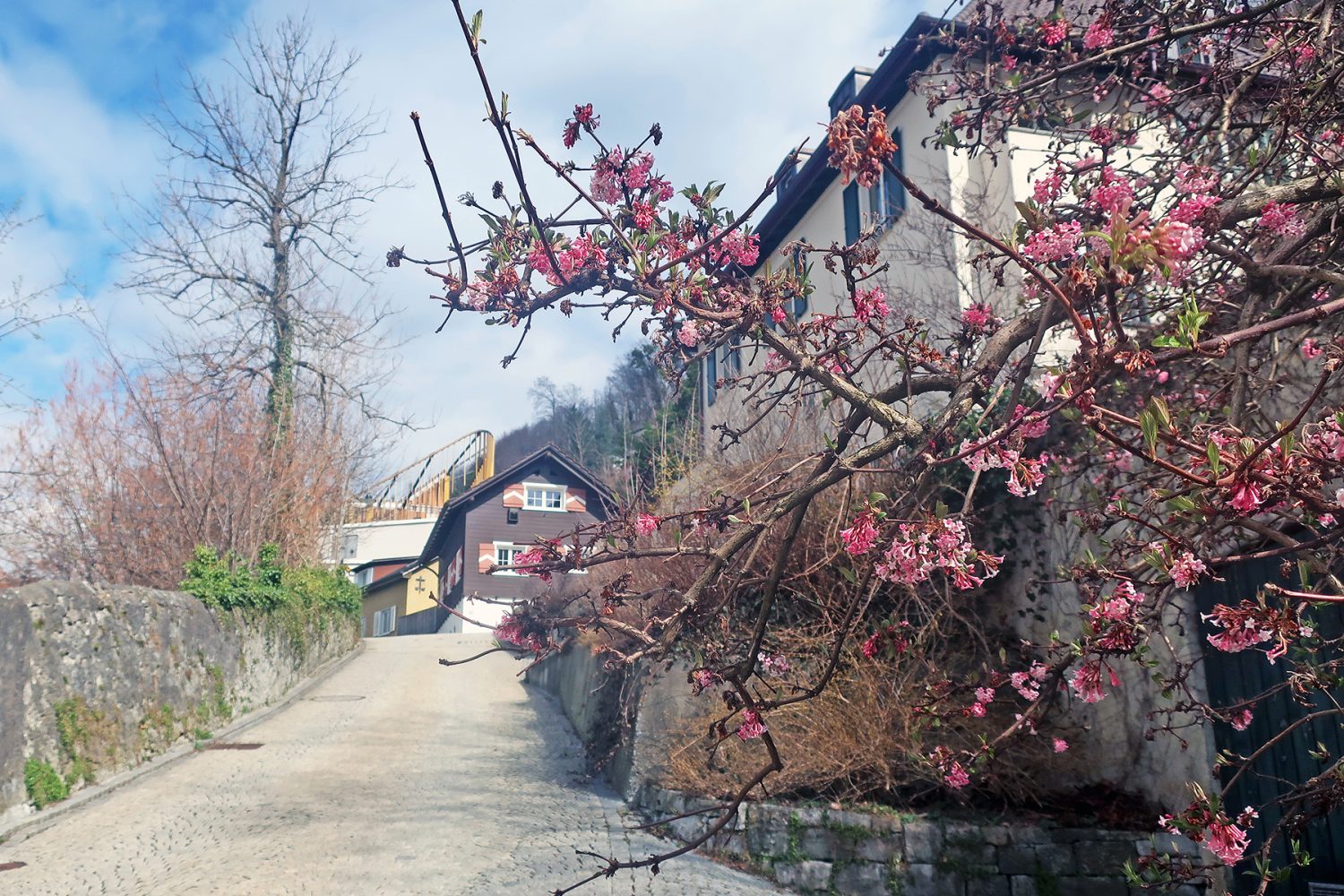 Highlights in Liechtenstein: Fürstliche Ferien im sechstkleinsten Land der Welt