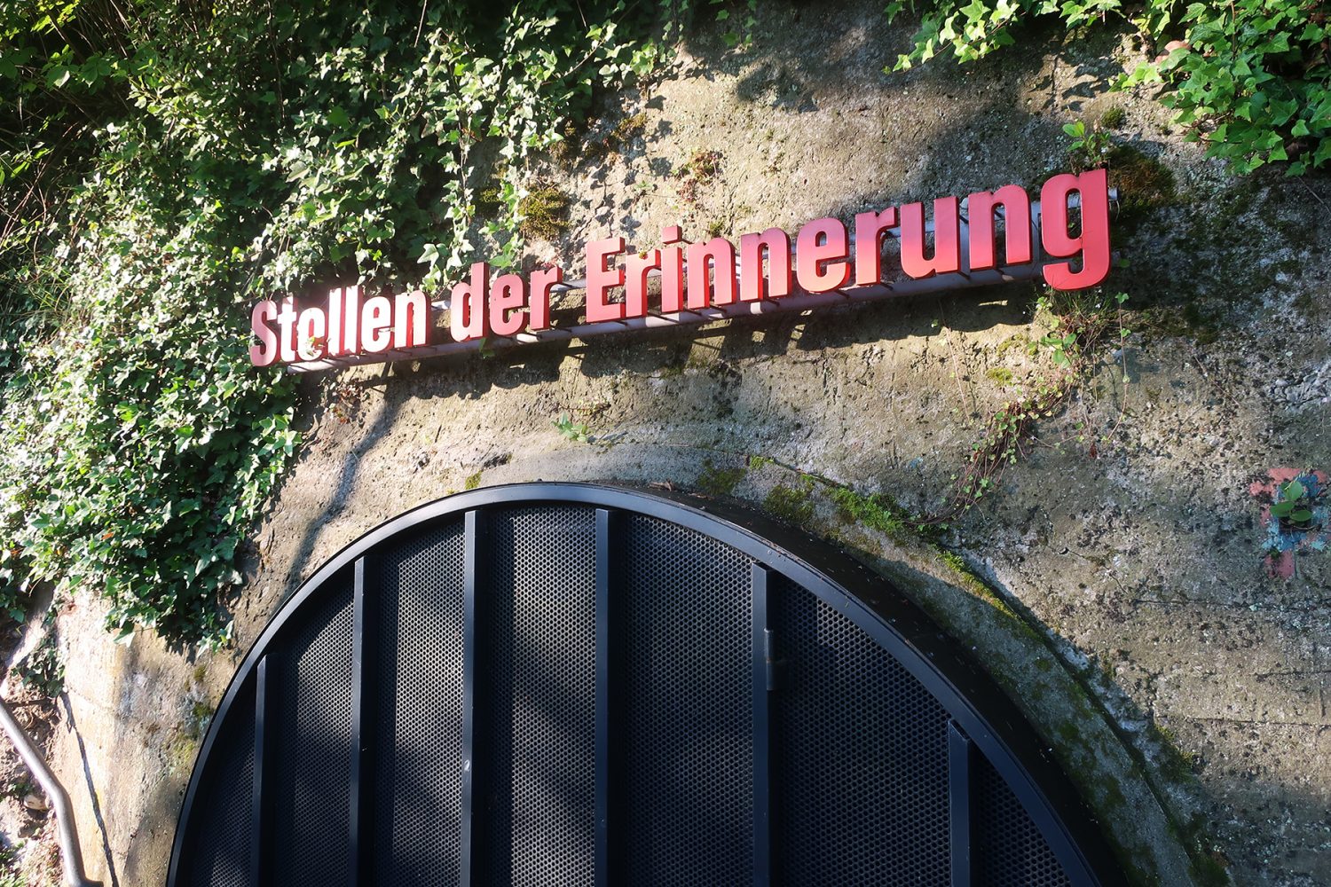 Zweiflüsse-Stadt Steyr