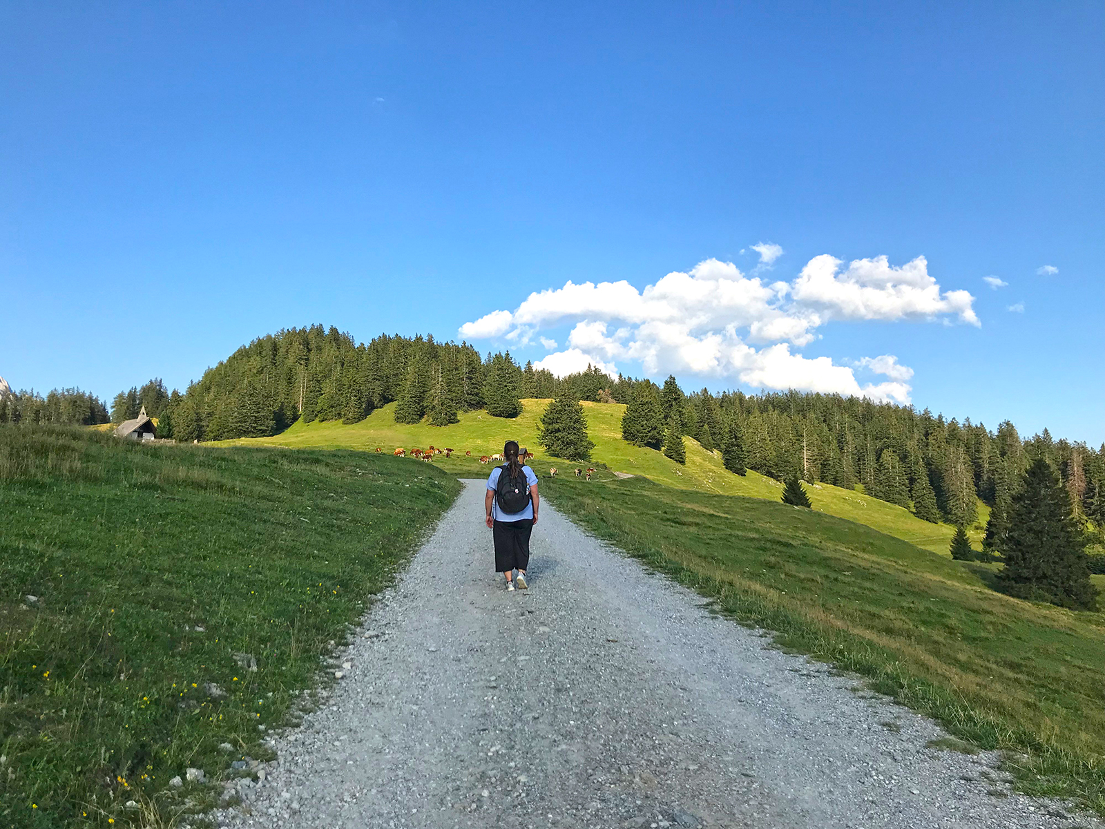 Hall in Tirol: 6 Highlights und Tipps für Hall in Tirol