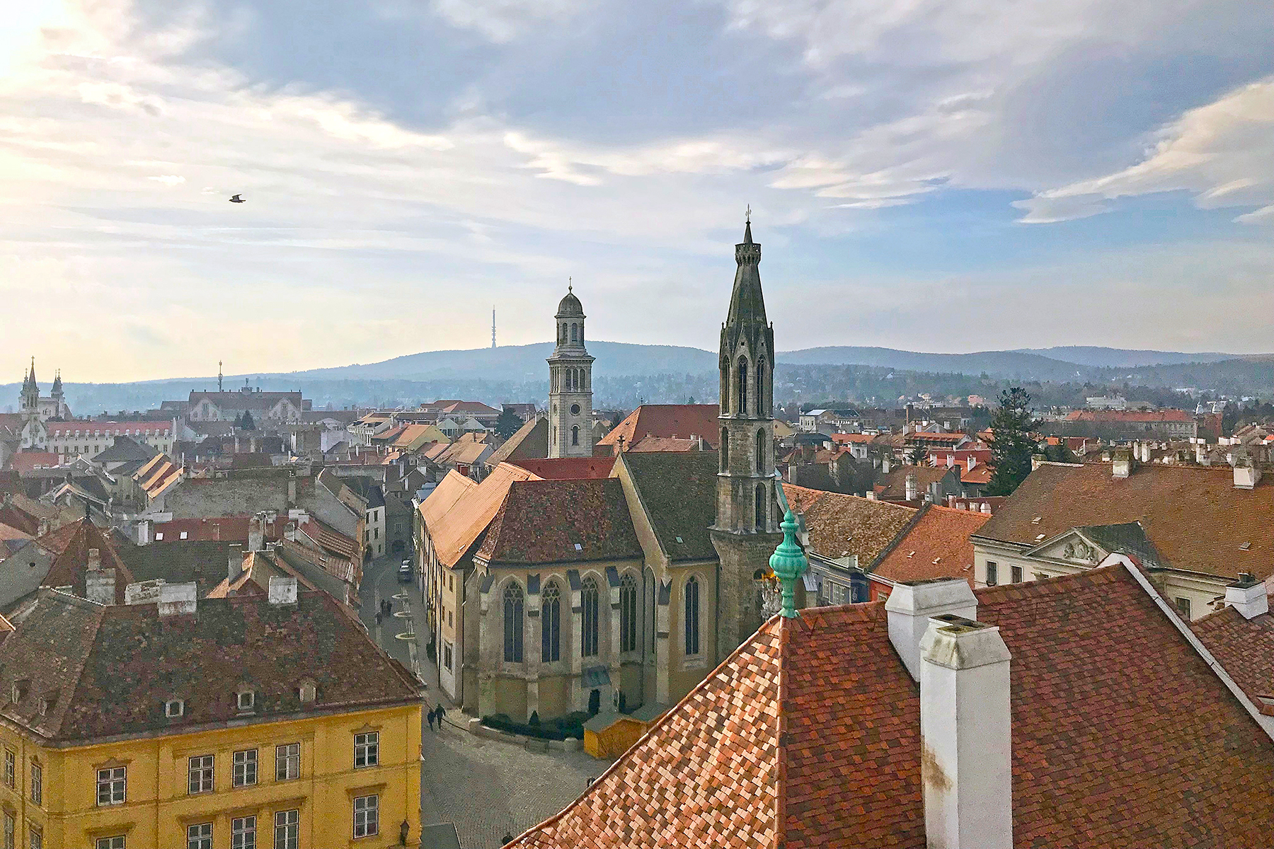 Grenzstadt Ungarn & Österreich: 7 Highlights in Sopron