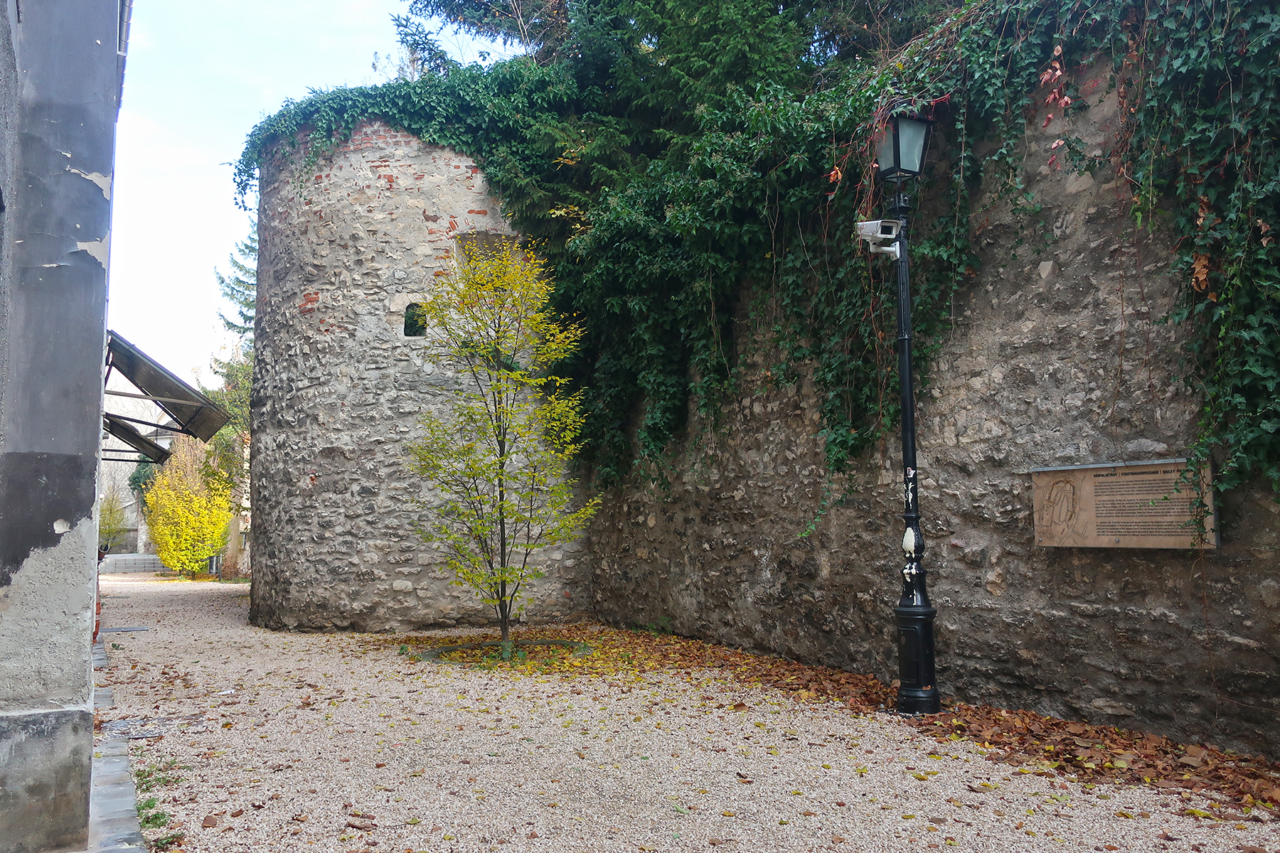 Grenzstadt Ungarn & Österreich: 7 Highlights in Sopron
