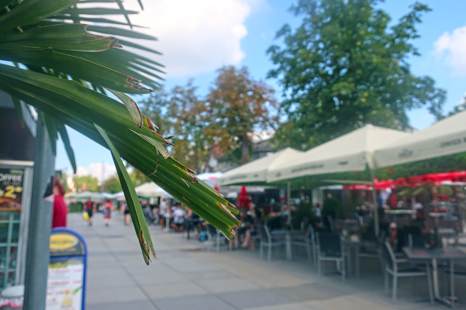 Graz: Subkultur, Shopping & steirischer Stil