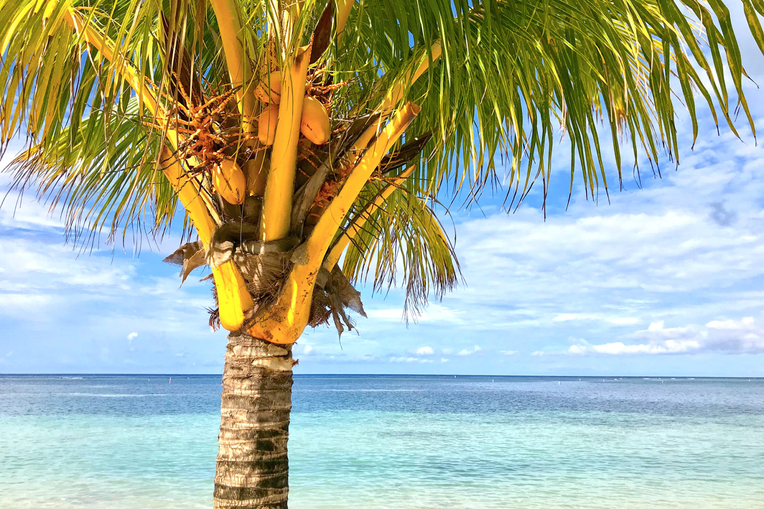 Virtuell reisen: Die besten Tipps für einen Urlaub im Kopf