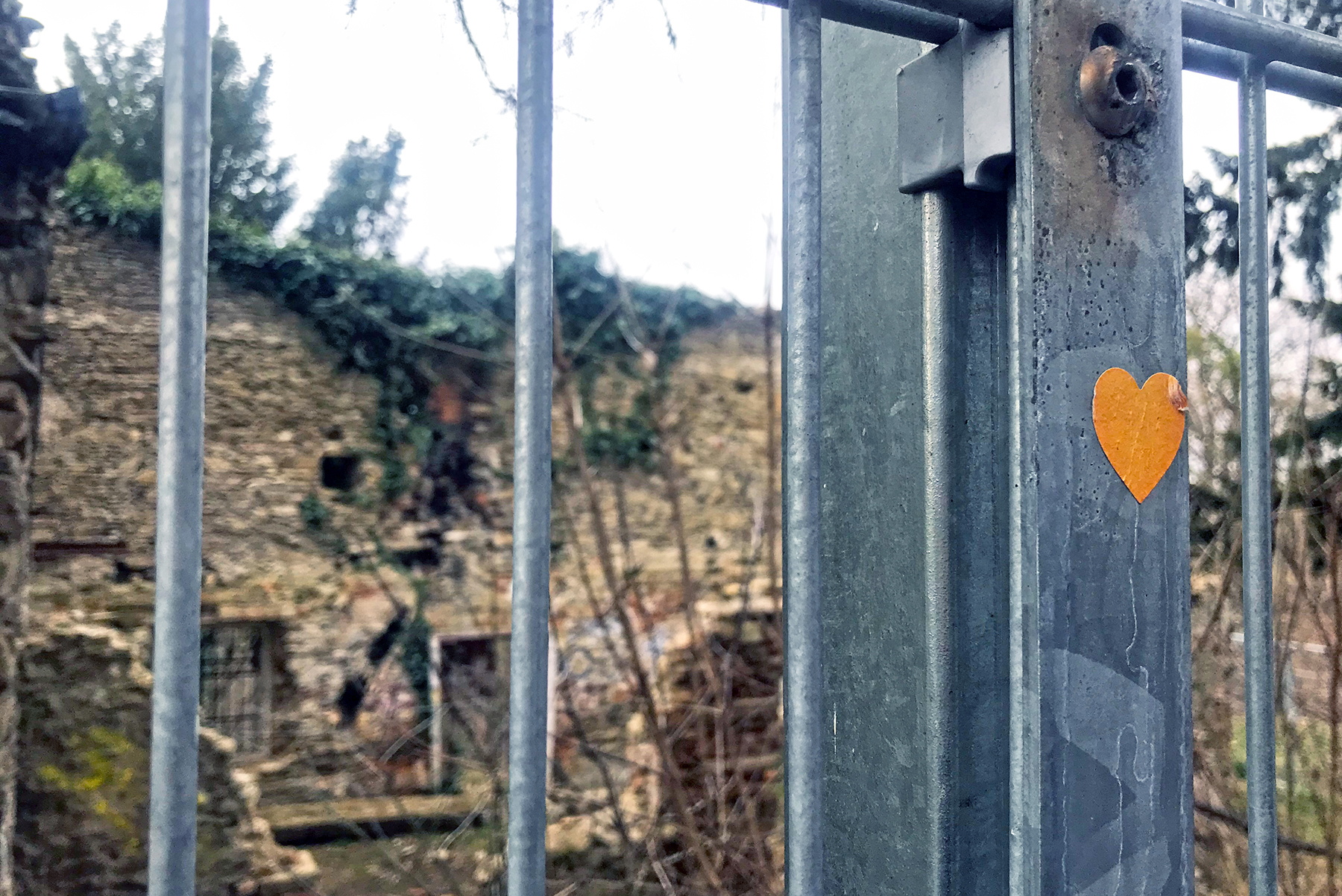 Lost Places in Wien: Die Ruinenvilla im Dehnepark in Wien