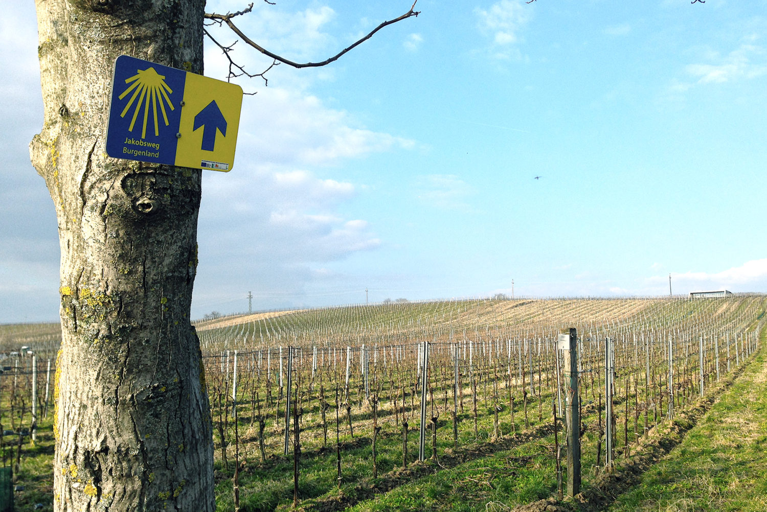 Wein-Reisen: Tipps für Weinbauregionen, Weinstraßen & Winzer-Hotels