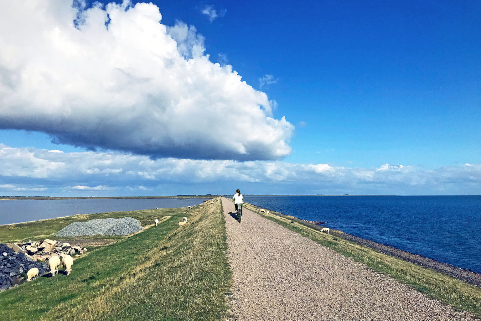 Weststrand, Watt und Wind: Die schönsten Radwege auf Sylt