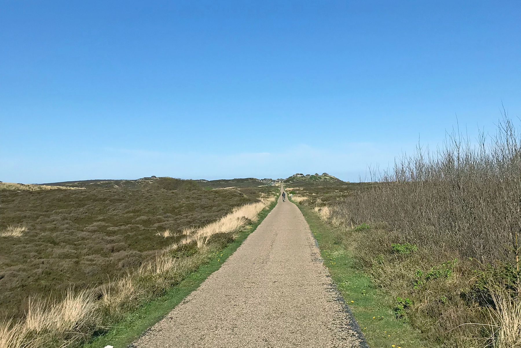 Weststrand, Watt und Wind: Die schönsten Radwege auf Sylt