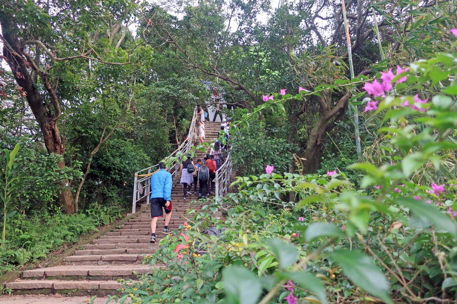 Schönster Aussichtspunkt in Taipeh: 10 Tipps für den Elephant Mountain