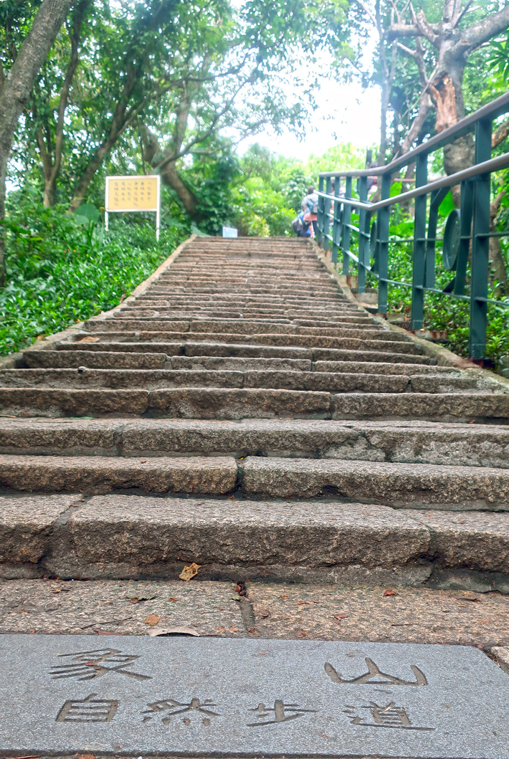 Schönster Aussichtspunkt in Taipeh: 10 Tipps für den Elephant Mountain