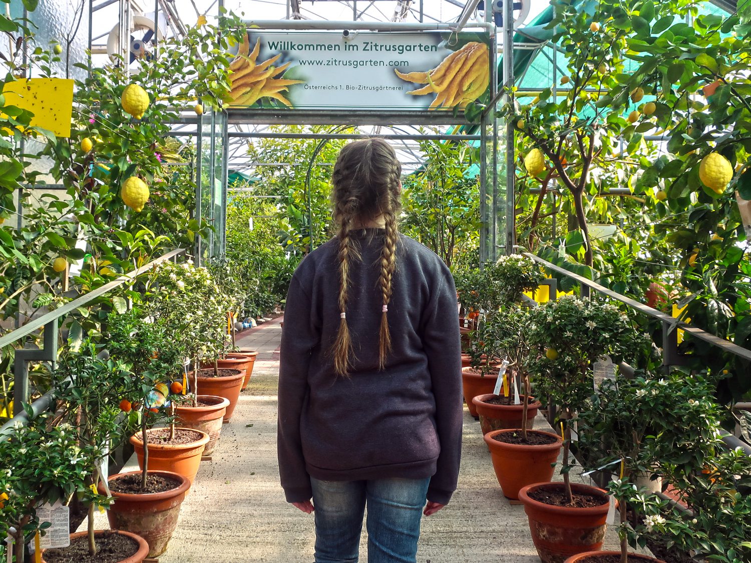 Die besten Tipps für Kärnten: Zitrusgarten