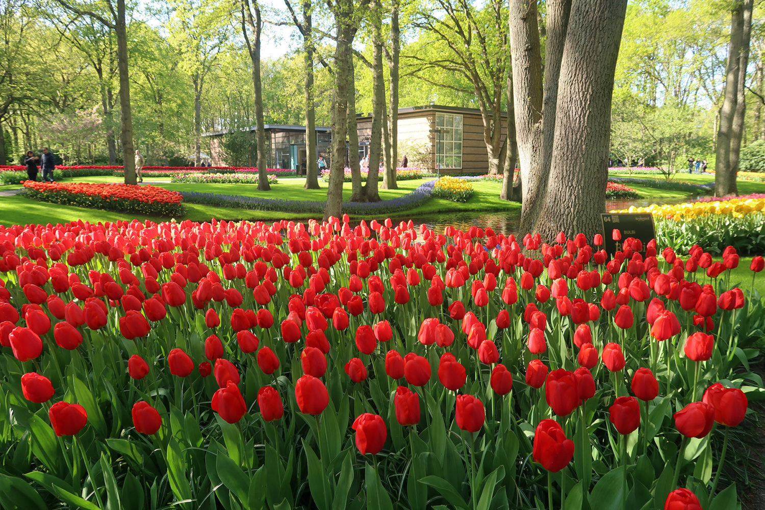 Keukenhof Holland: Fragen & Antworten zum Besuch 2023