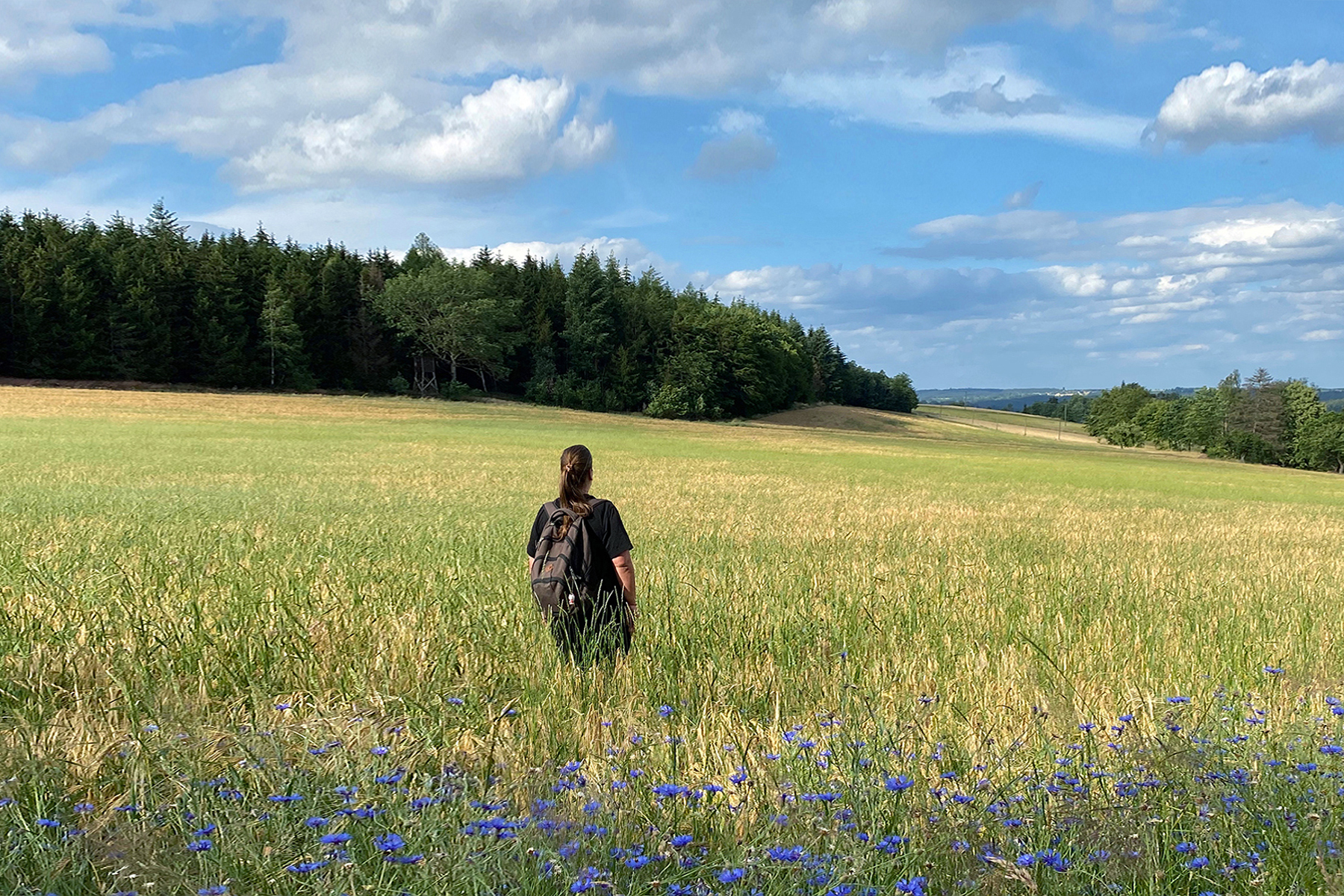 Highlights Frankenwald: Die 15 schönsten Sehenswürdigkeiten & Geheimtipps im Frankenwald